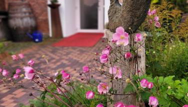 Room and kitchen im Katerberg - Foto 2