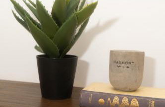 Modernes Altstadt Apartment - Foto 10