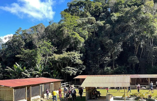 Hotel Fazenda Rancho Mineiro - Foto 29