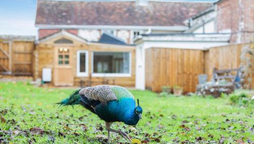 3 Bed in Newport oc-p33956 - Foto 4, Other