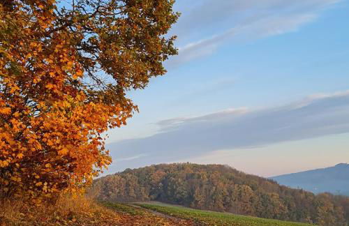 Urlaubsdomizil Am Töpfer - Ferienwohnungen in Olbersdorf - Foto 63