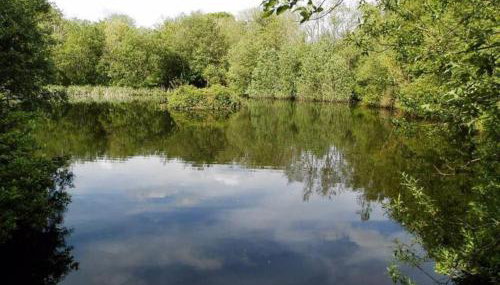 Converted Granary on a rural small holding - Foto 5