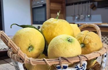 Casa Marten - Foto 7