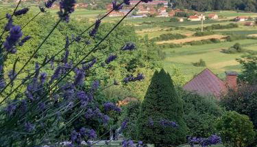 Kuća Za Odmor Barbara - Foto 3