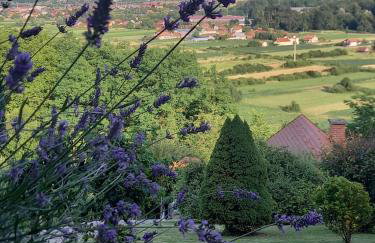 Kuća Za Odmor Barbara - Photo 3