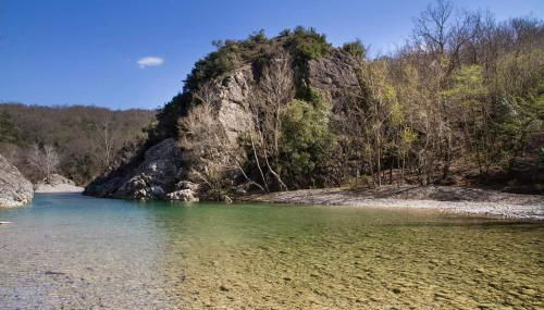 Bella Toscana - Foto 5