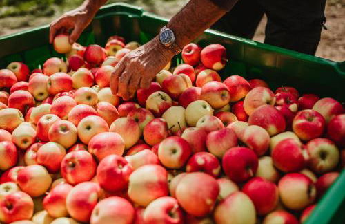 Waalhof Ferienwohnung Kastanie - Foto 25