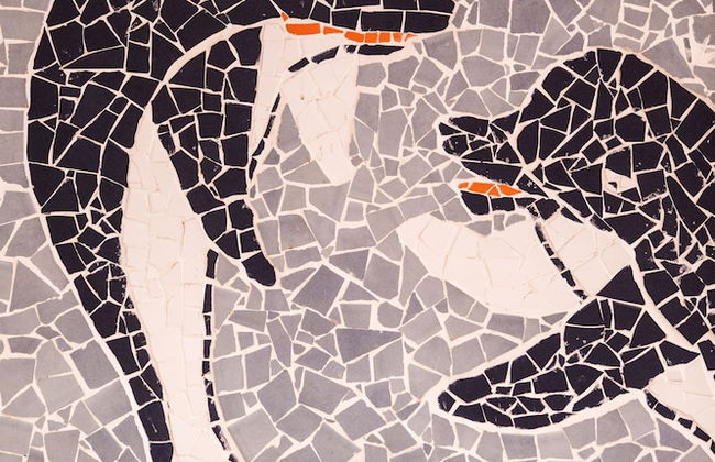 Ekaterini Hotel - Foto 33