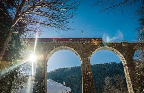 Heimatstub' Hinterzarten - Foto 11