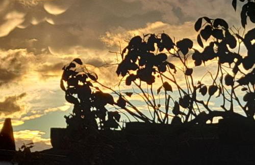 Ferienhaus Pfalzklause - Foto 25