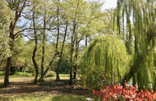 Gîtes Terra di a Bravona - Foto 10