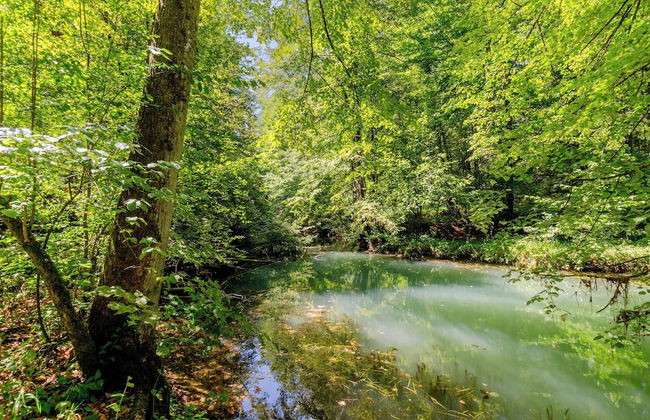 Forge Of Happiness - Foto 38