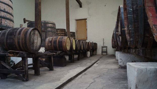 Tour privado por un viñedo de Parras de la Fuente - Foto 5, Una sala de barricas