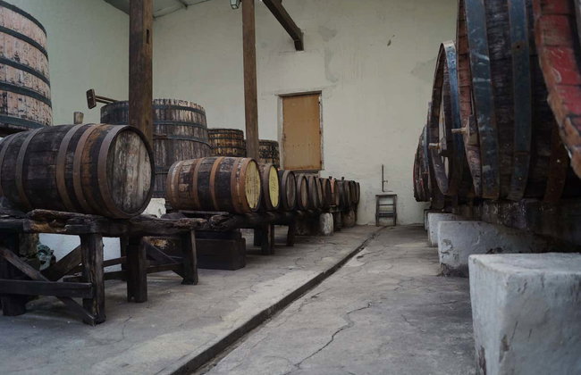 Tour privado por un viñedo de Parras de la Fuente - Foto 5
