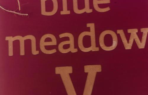 Blue Meadow - Foto 54