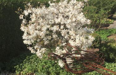 Ferienwohnung Kastl - Foto 20