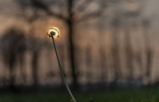 Agriturismo Al Botteniga - Foto 16