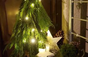 Harzer Auszeit - Foto 28