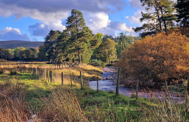 Colleton Cottage at Lovelady Shield - Foto 32