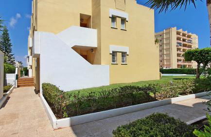 JUNCOS y LIRIOS, Playa de Xeraco - Foto 67