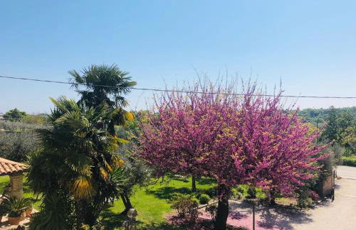 Agriturismo Villa Vetiche - Foto 48