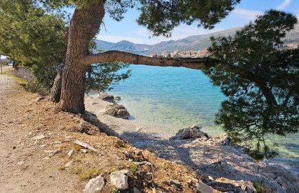 Apartmani Barnjak - Photo 18