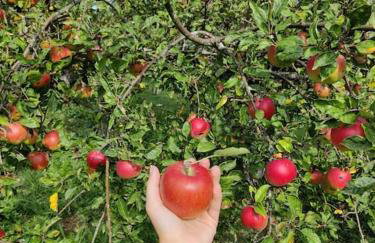 Kuća za odmor Villa Cesarica - Zagreb - Foto 19