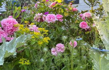 The Old Cheese Press, Eckington - Foto 47