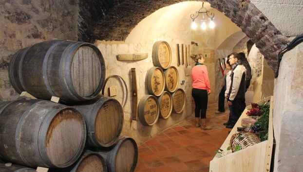 Visitez le musée du vin