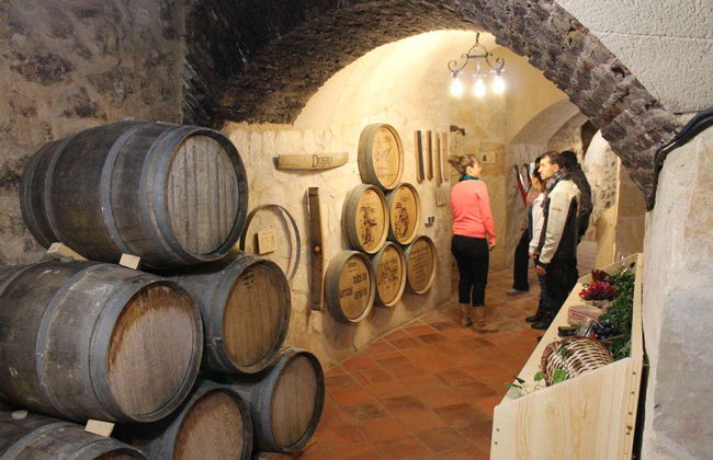 Visite du musée du vin d'Aranda de Duero - Photo 3