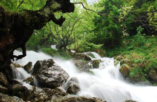 Casa Vacanze La Villa - Foto 18