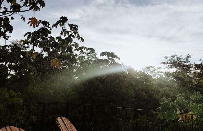 Glass 20.87 - Photo 16