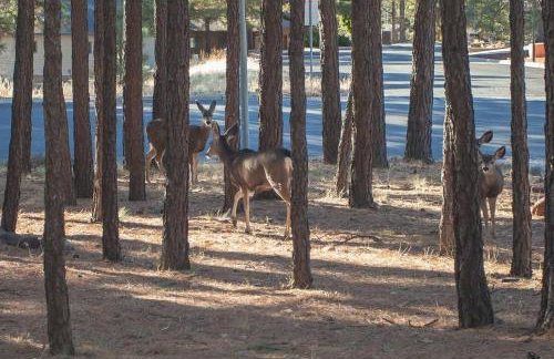 2 Living Rooms Fires Quick Drive Downtown - Foto 47