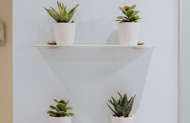 The Penthouse - Foto 34