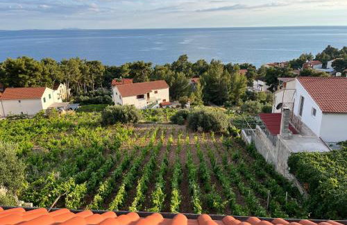 Apartmani "Nikola" Seaview - Ivan Dolac, Hvar - Foto 23