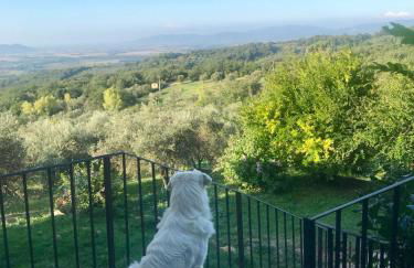 Agriturismo Campo al Crognolo - Foto 1