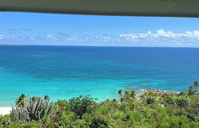 Hotel Sophia Boutique Hotel - Foto 31