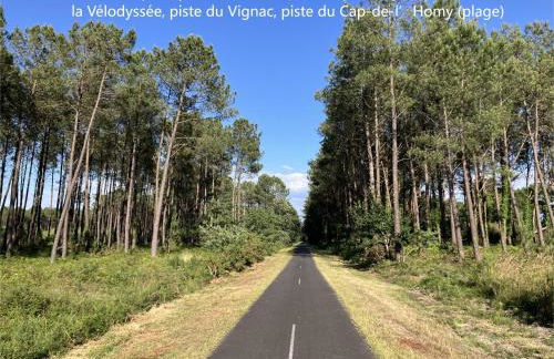 Maison en forêt, calme, proche village et piste cyclable - meublé 3 étoiles - Foto 25
