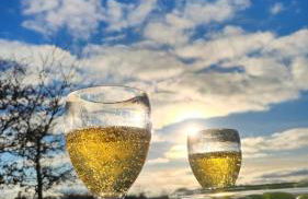 Ferienwohnung FeWo Plaggenburg - Das Familienreich - Photo 9