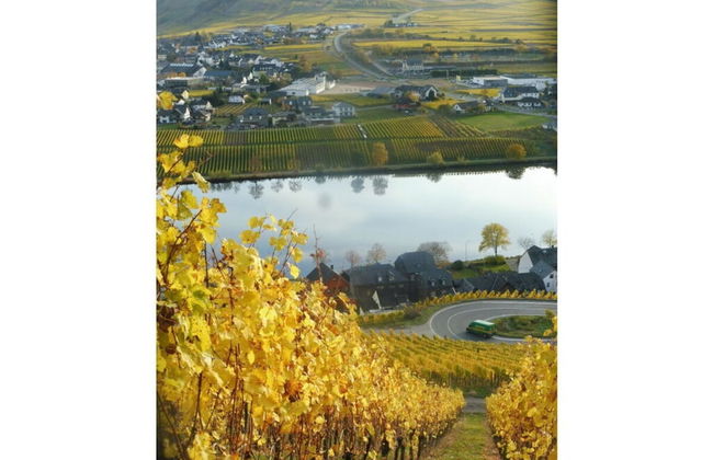 Voor 8 tot 12 Personen - Photo 13