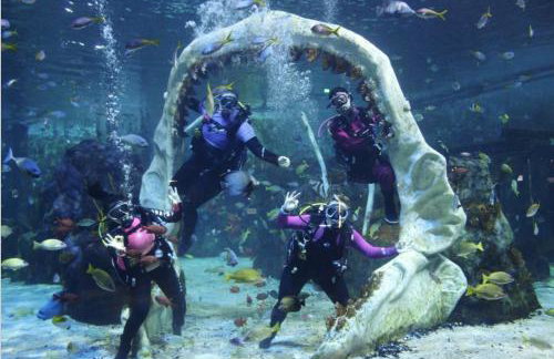 Modern Two Bedroom Two Bathroom Apartment - Foto 9