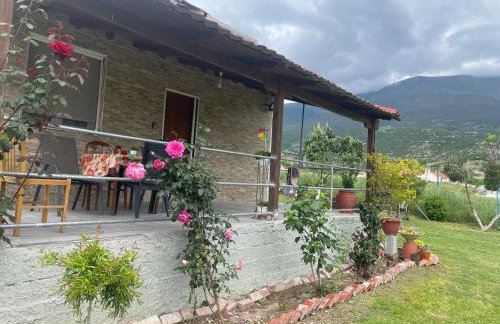 Villa Olympus - Photo 17