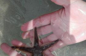 casa vacanza laguna - Foto 16