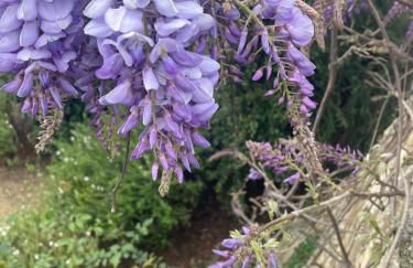 Bistrot del mare - Foto 73