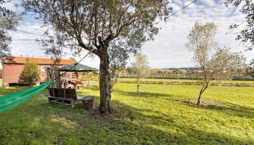 Casa da Lagoa Pateira - Photo 4