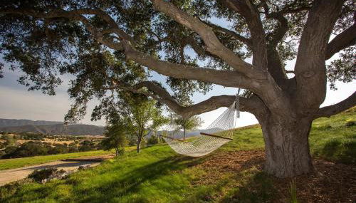 Ballard Canyon Ranch by Paradise Retreats - Foto 5