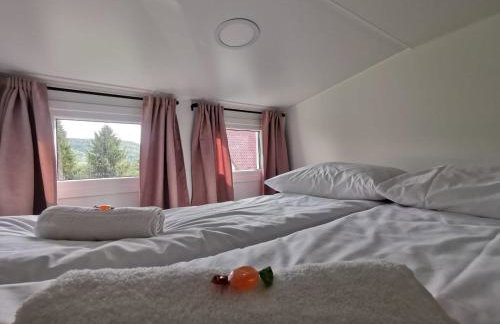 Wetlina 21 - Foto 14