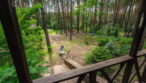 Masuria Warsaw - dom na wyłączność - w lesie i przy rzece - 15 min od Warszawy - Foto 5, Garden view