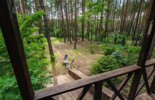 Masuria Warsaw - dom na wyłączność - w lesie i przy rzece - 15 min od Warszawy - Foto 5