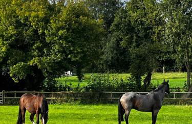 Haybarn Cottage - Foto 24